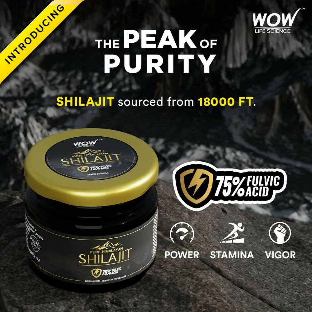 https://cdn.shopify.com/s/files/1/1857/6931/products/H2mNYdY300.jpg?v=1693815708
