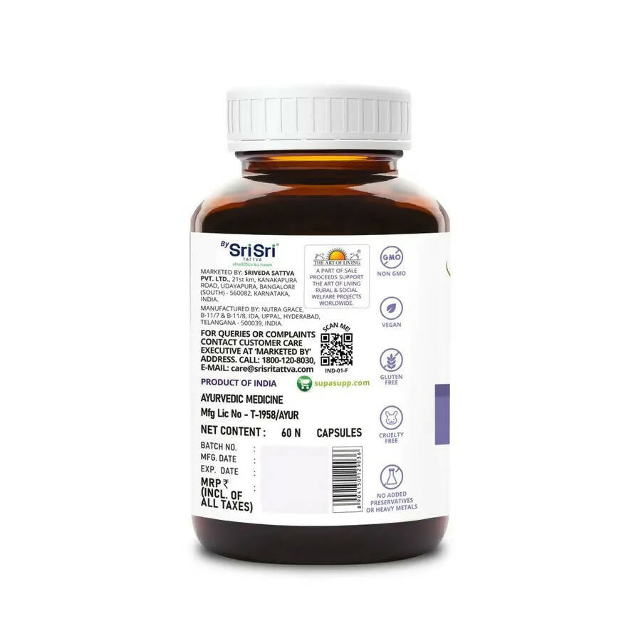 https://cdn.shopify.com/s/files/1/1857/6931/products/H2qqydPSXX.jpg?v=1665033020