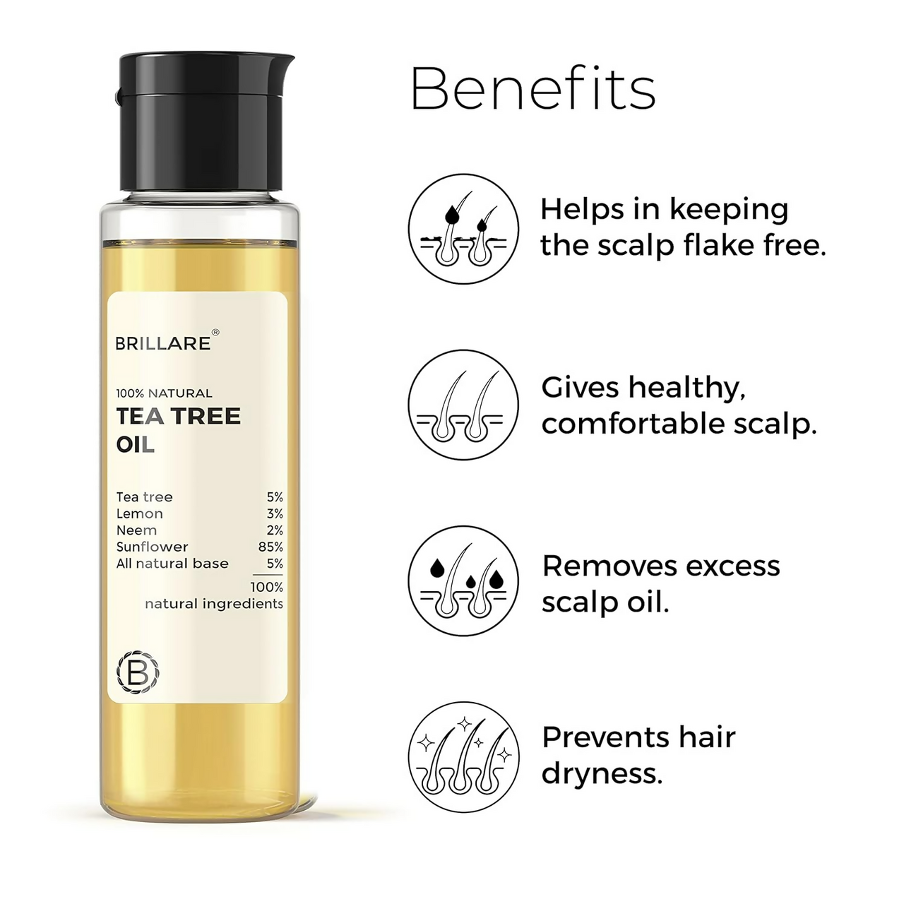 https://cdn.shopify.com/s/files/1/1857/6931/files/H2xu62LlPu.png?v=1728048786