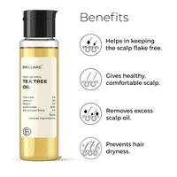 https://cdn.shopify.com/s/files/1/1857/6931/files/H2xu62LlPu.png?v=1728048786