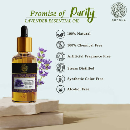 https://cdn.shopify.com/s/files/1/1857/6931/products/H45mPEooej.jpg?v=1677662349