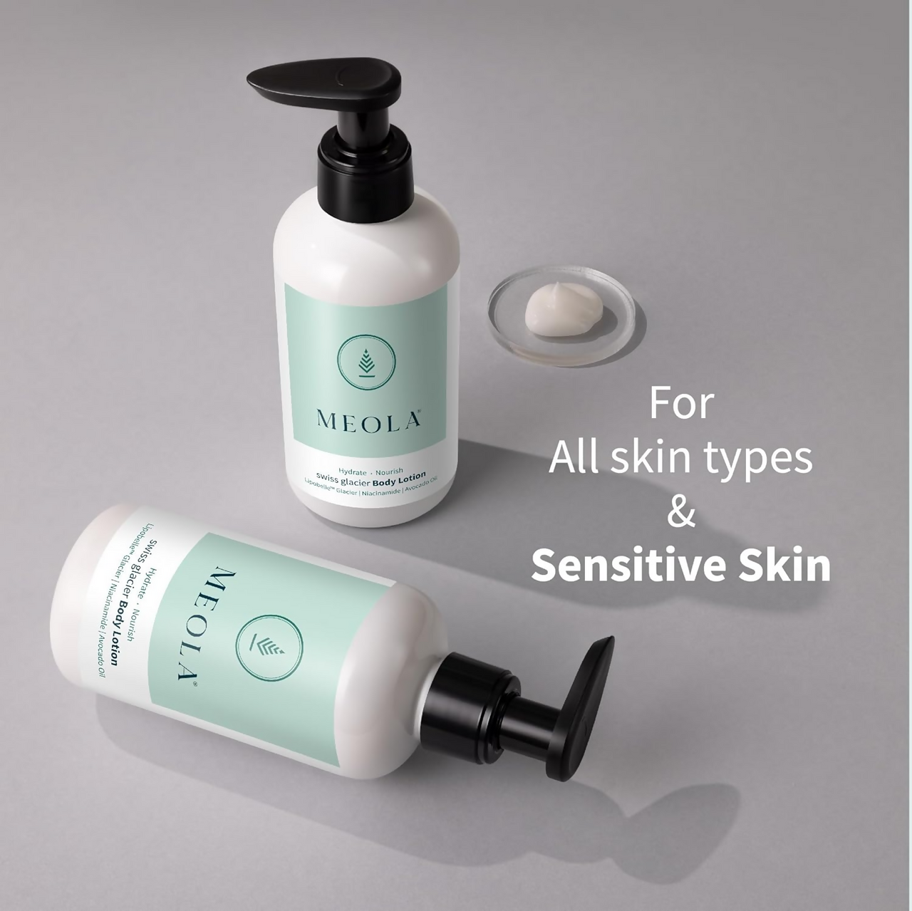 https://cdn.shopify.com/s/files/1/1857/6931/files/H6gKO4offh.png?v=1728474134
