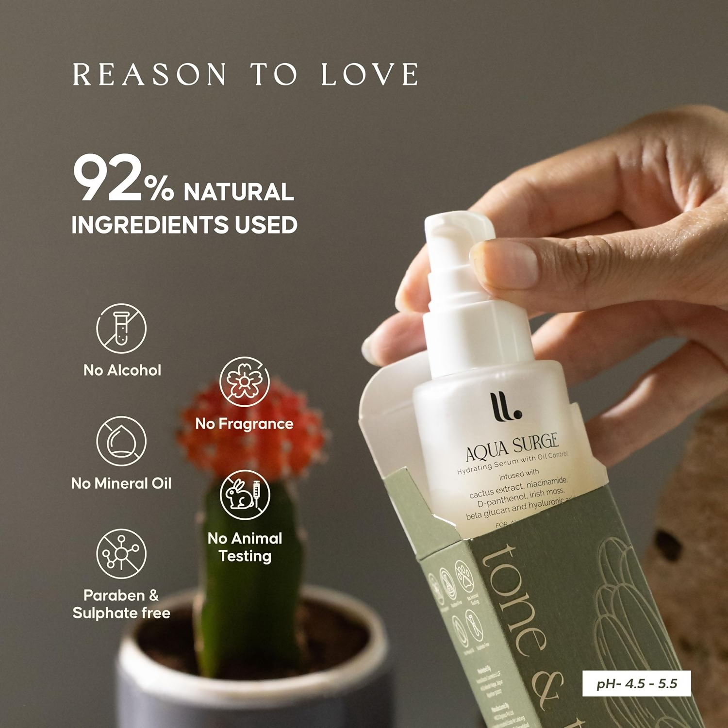 https://cdn.shopify.com/s/files/1/1857/6931/files/H92Ah0idSN.png?v=1729592456