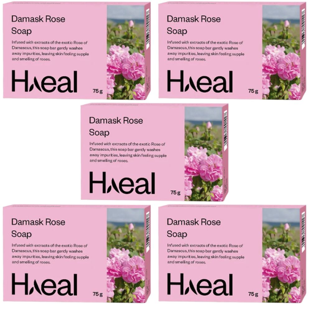 https://cdn.shopify.com/s/files/1/1857/6931/files/HAEAL-GENIE-24499-03_8efd282b-518e-43ca-93f2-9598b6332597.jpg?v=1756823379