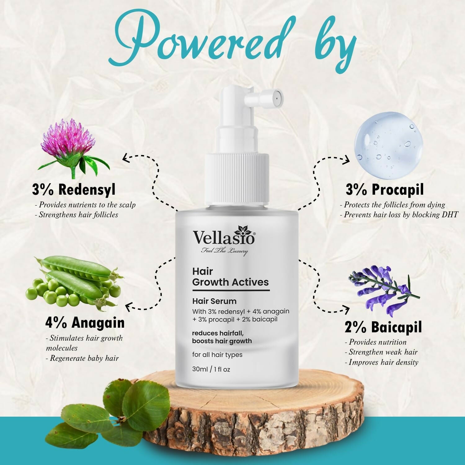 https://cdn.shopify.com/s/files/1/1857/6931/files/HANhMVs9Zs.jpg?v=1755082796
