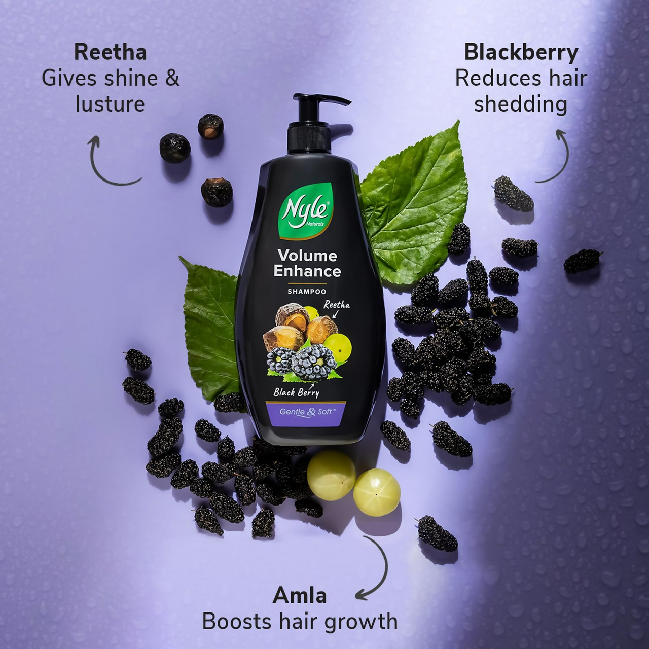 https://cdn.shopify.com/s/files/1/1857/6931/files/HDdXJIINhe.png?v=1728283846