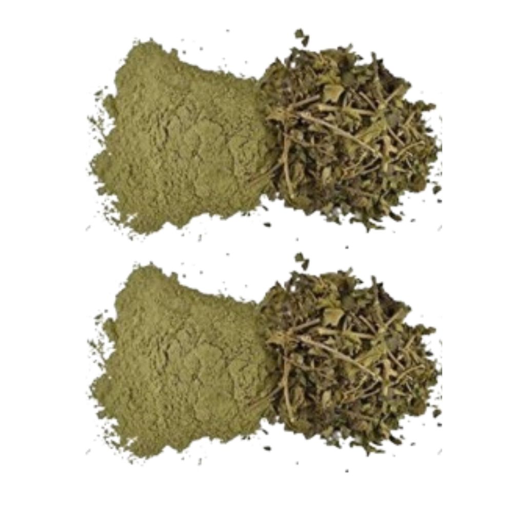 https://cdn.shopify.com/s/files/1/1857/6931/files/HEBSU-GENIE-62290-01_b031953d-f43d-4713-a9f0-160a38fe4dac.jpg?v=1756821488