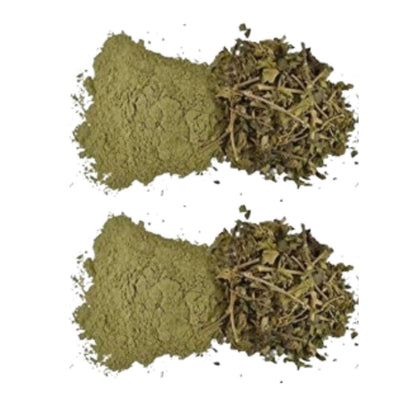 https://cdn.shopify.com/s/files/1/1857/6931/files/HEBSU-GENIE-62290-01_b031953d-f43d-4713-a9f0-160a38fe4dac.jpg?v=1756821488