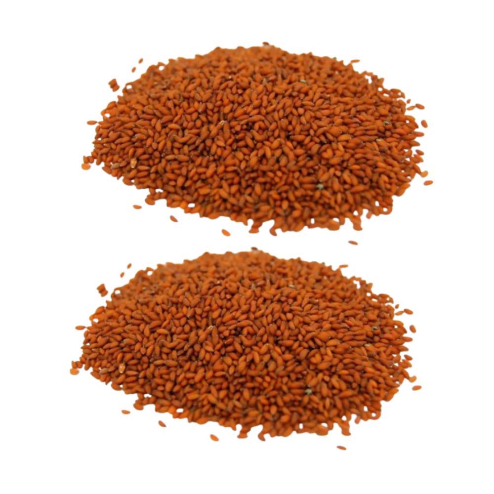 https://cdn.shopify.com/s/files/1/1857/6931/files/HEBSU-GENIE-62367-01_518da0f0-46e8-4102-8201-0ff2a676ddd6.jpg?v=1756821471