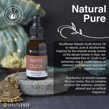 https://cdn.shopify.com/s/files/1/1857/6931/products/HFQwg5y3Oj.jpg?v=1639739797