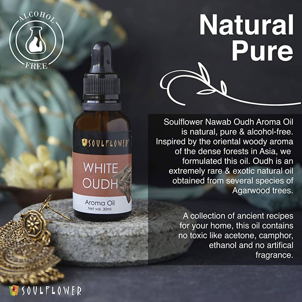 https://cdn.shopify.com/s/files/1/1857/6931/products/HFQwg5y3Oj.jpg?v=1639739797