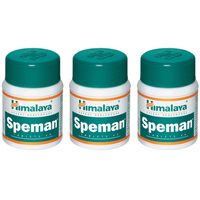 https://cdn.shopify.com/s/files/1/1857/6931/files/HIMAL-GENIE-2029-02_d9b89736-1894-40cb-a25a-a38a289fa337.png?v=1756825980