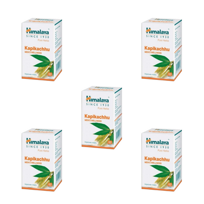 https://cdn.shopify.com/s/files/1/1857/6931/files/HIMAL-GENIE-2400-03_d56393fa-243f-4fcd-884c-a53b9581d815.png?v=1756825756