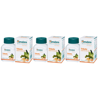 https://cdn.shopify.com/s/files/1/1857/6931/files/HIMAL-GENIE-642-02_f56da10c-7a80-400a-a076-b83dc61a36eb.png?v=1756826303