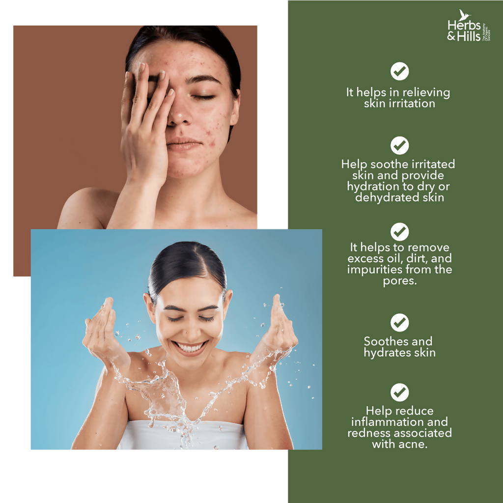 https://cdn.shopify.com/s/files/1/1857/6931/files/HLdWNGX4bS.png?v=1745576787