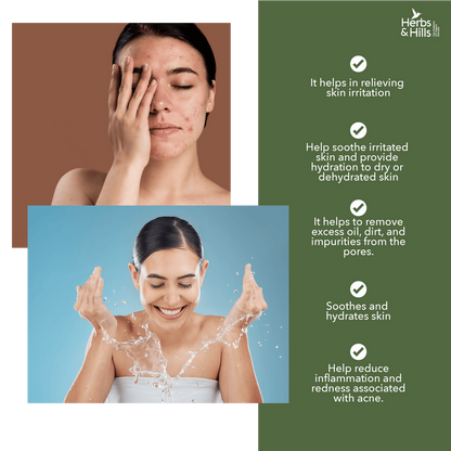 https://cdn.shopify.com/s/files/1/1857/6931/files/HLdWNGX4bS.png?v=1745576787