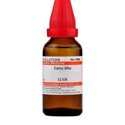 https://cdn.shopify.com/s/files/1/1857/6931/products/HOAD62Tqnn.jpg?v=1613912169