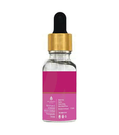 https://cdn.shopify.com/s/files/1/1857/6931/products/HQThDwWCEv.jpg?v=1668058113