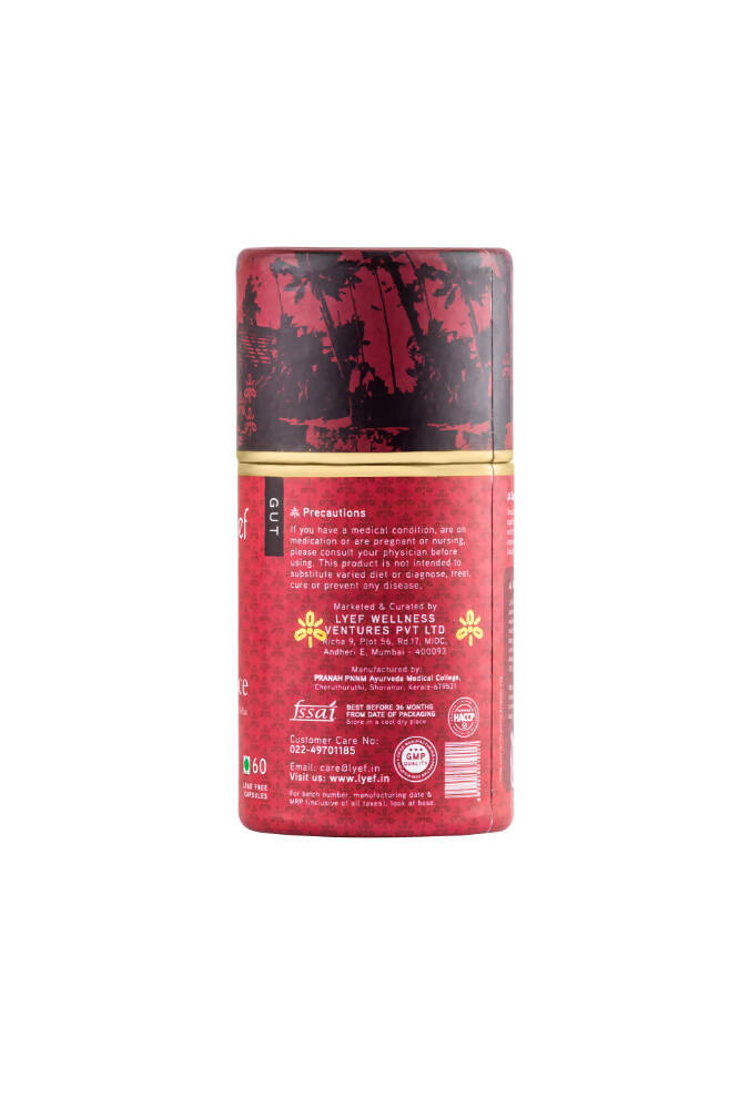 https://cdn.shopify.com/s/files/1/1857/6931/products/HTZfk184is.jpg?v=1683033584