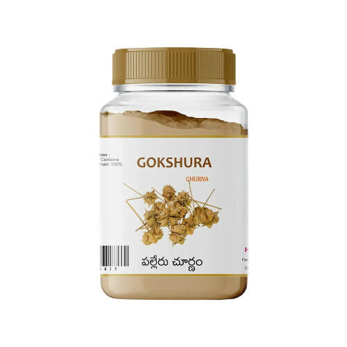 https://cdn.shopify.com/s/files/1/1857/6931/products/HUJuUsF37K.jpg?v=1670571694