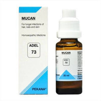 https://cdn.shopify.com/s/files/1/1857/6931/products/HVAkFHR7BO.jpg?v=1613896271