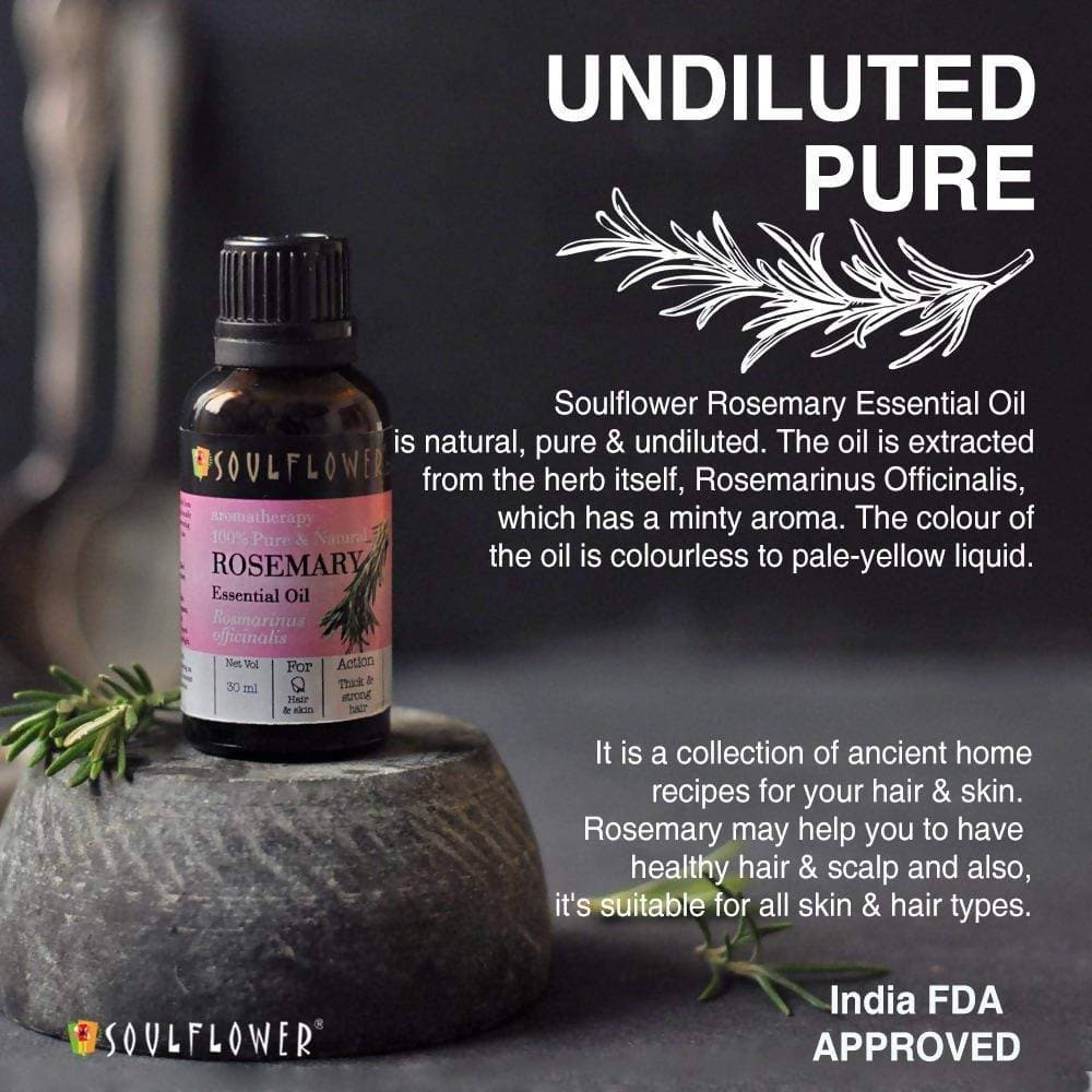 https://cdn.shopify.com/s/files/1/1857/6931/products/HWw2vBNh4q.jpg?v=1614911243