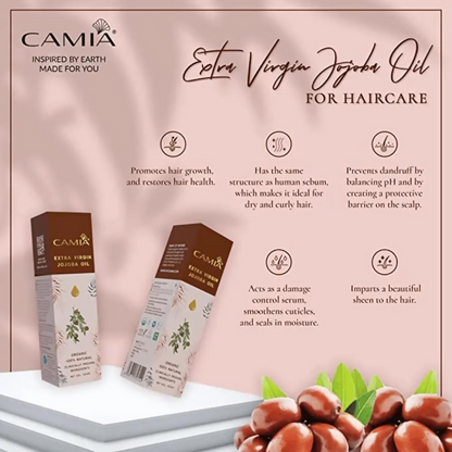 https://cdn.shopify.com/s/files/1/1857/6931/files/HXWHw8sJRT.png?v=1729509636
