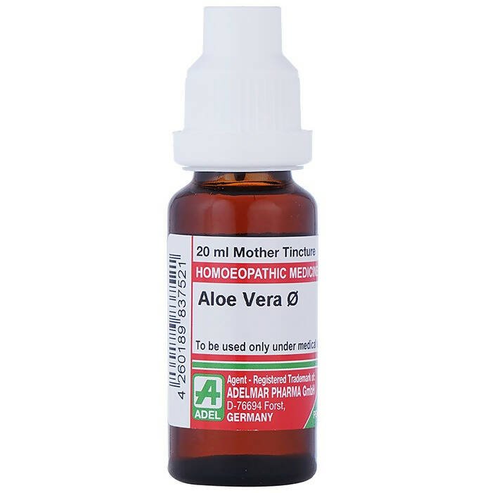 https://cdn.shopify.com/s/files/1/1857/6931/files/HYwya6oqBp-536593.jpg?v=1736143261