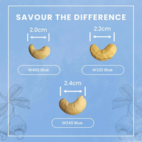 https://cdn.shopify.com/s/files/1/1857/6931/files/HZZshYJTBc.png?v=1768891889