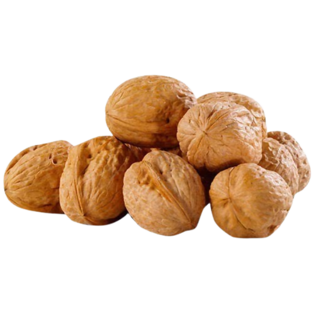 https://cdn.shopify.com/s/files/1/1857/6931/files/HZgg9ou9iO.png?v=1779883017