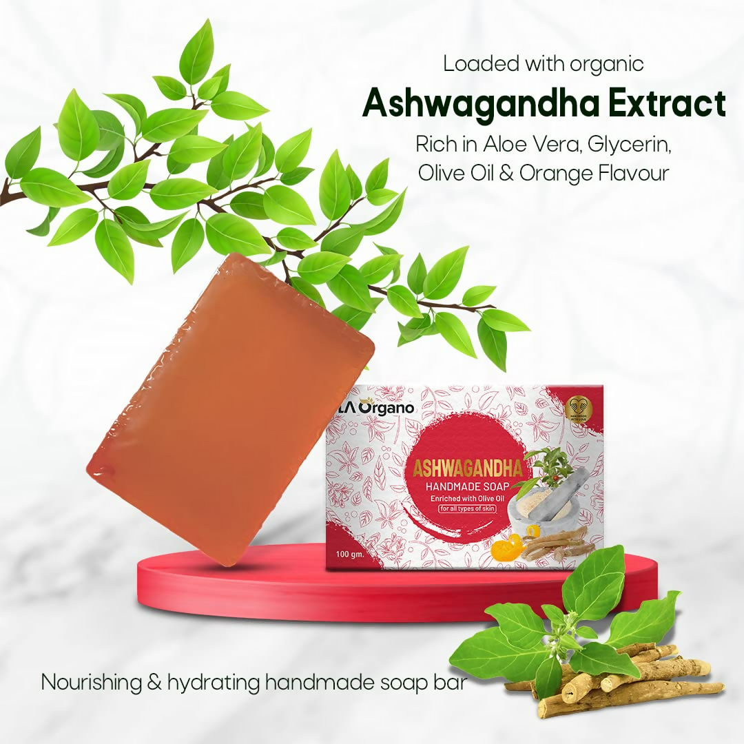 https://cdn.shopify.com/s/files/1/1857/6931/files/HbZvjUedE8.png?v=1718861790