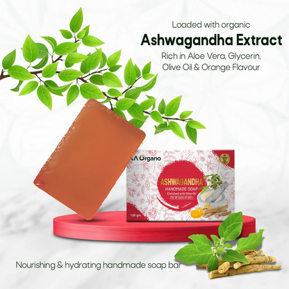 https://cdn.shopify.com/s/files/1/1857/6931/files/HbZvjUedE8.png?v=1718861790