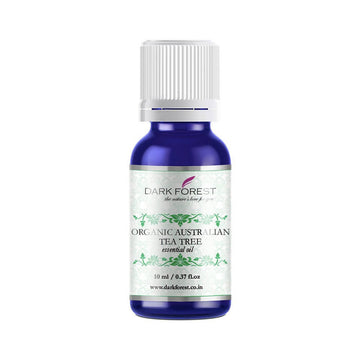 https://cdn.shopify.com/s/files/1/1857/6931/products/Hbx242fOvC.jpg?v=1622475905