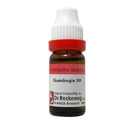 https://cdn.shopify.com/s/files/1/1857/6931/products/Hch9btfBN4.jpg?v=1679312040