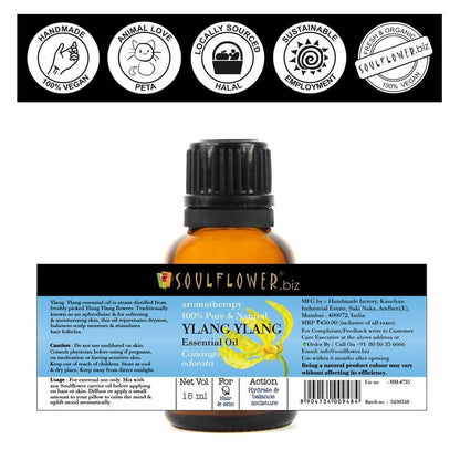 https://cdn.shopify.com/s/files/1/1857/6931/products/Hfy3CWViFa.jpg?v=1614911240