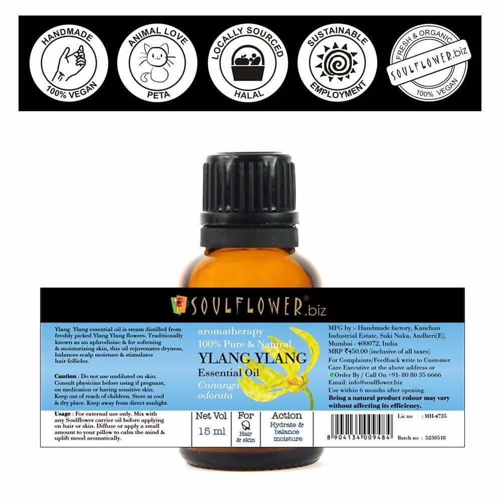 https://cdn.shopify.com/s/files/1/1857/6931/products/Hfy3CWViFa.jpg?v=1614911240