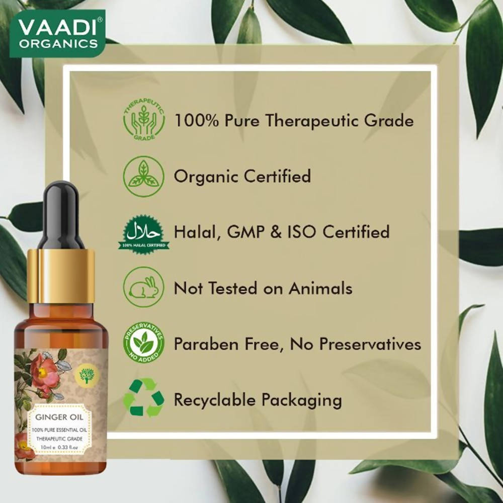 https://cdn.shopify.com/s/files/1/1857/6931/products/Hgw30OKUlW.jpg?v=1617935369