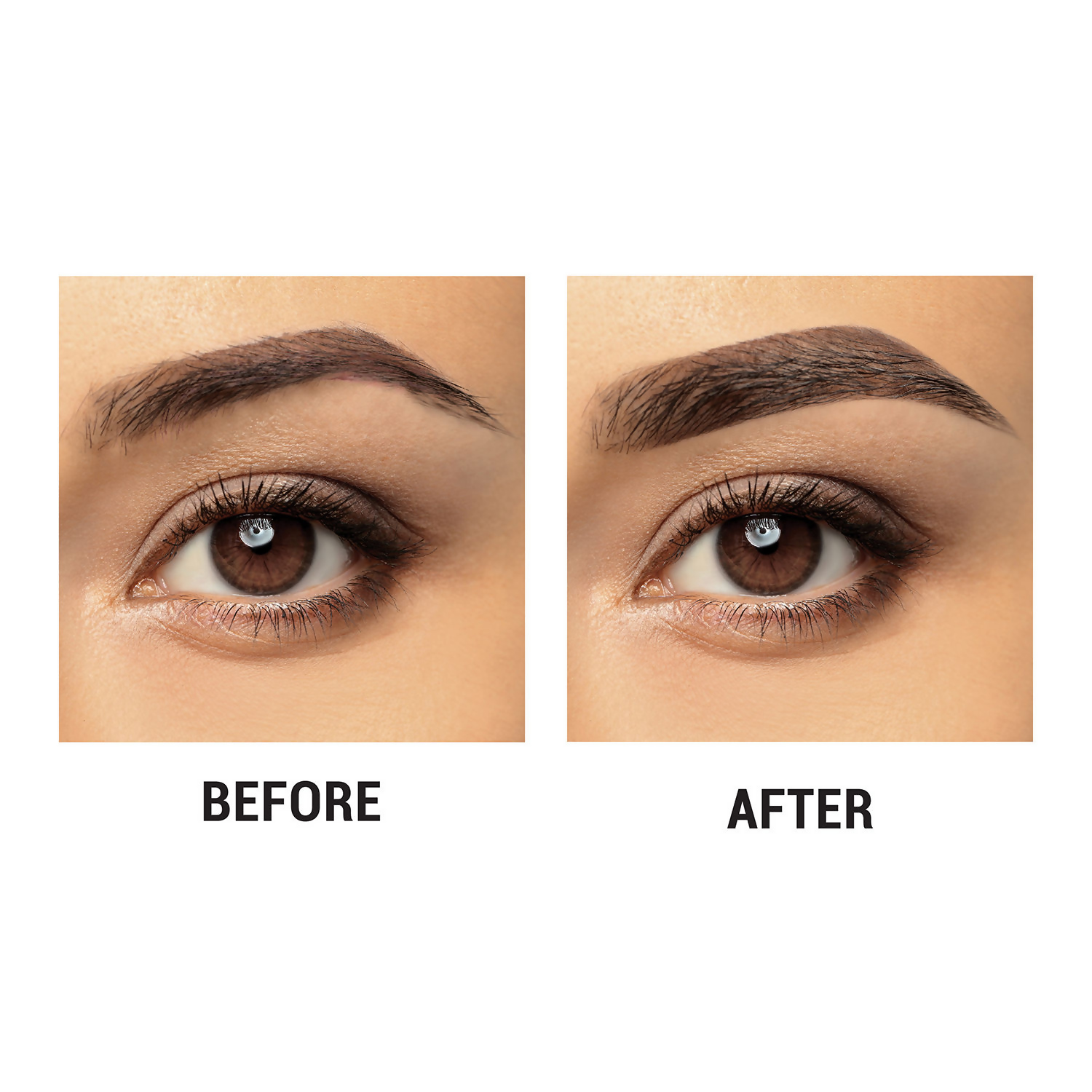 https://cdn.shopify.com/s/files/1/1857/6931/files/HhWupjQzqf.png?v=1740459884