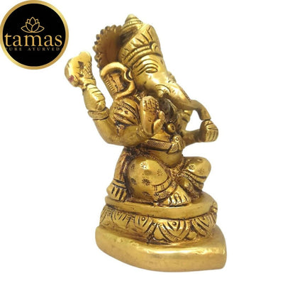 https://cdn.shopify.com/s/files/1/1857/6931/products/Hhn5QAo5Hn.jpg?v=1681466652