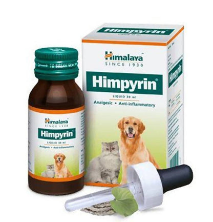https://cdn.shopify.com/s/files/1/1857/6931/products/HhsQ73vz83.jpg?v=1627007677