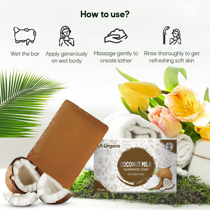 https://cdn.shopify.com/s/files/1/1857/6931/files/HiZqzgHWeL.png?v=1718864057