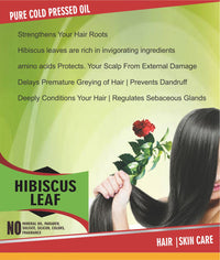 https://cdn.shopify.com/s/files/1/1857/6931/products/Hibiscus96.jpg?v=1681992024