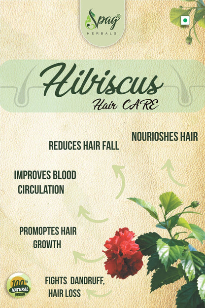 https://cdn.shopify.com/s/files/1/1857/6931/products/HibiscusL2.jpg?v=1681992022