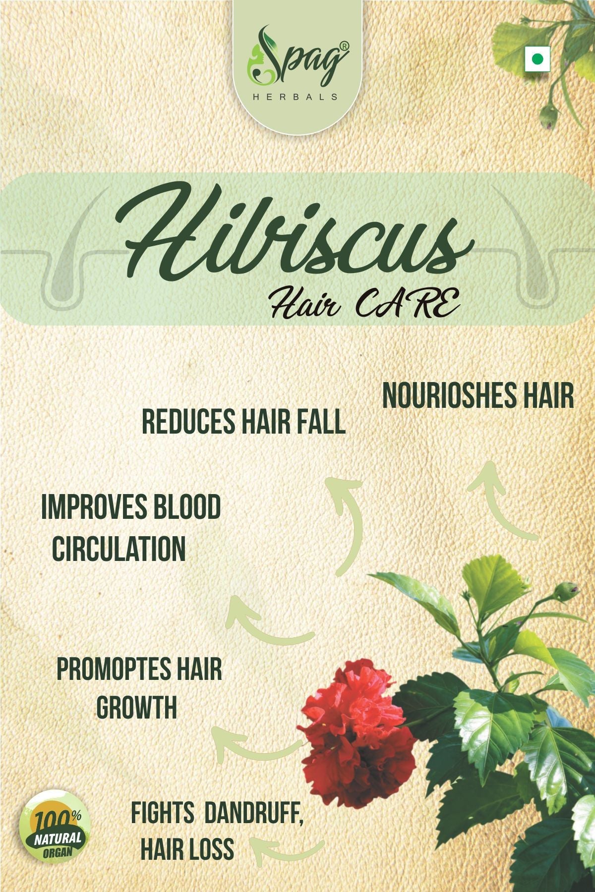https://cdn.shopify.com/s/files/1/1857/6931/products/HibiscusL2.jpg?v=1681992022