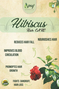 https://cdn.shopify.com/s/files/1/1857/6931/products/HibiscusL2.jpg?v=1681992022