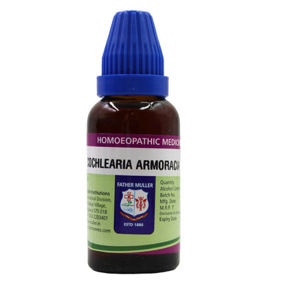 https://cdn.shopify.com/s/files/1/1857/6931/files/Hiv8SbnB2A.jpg?v=1717242048