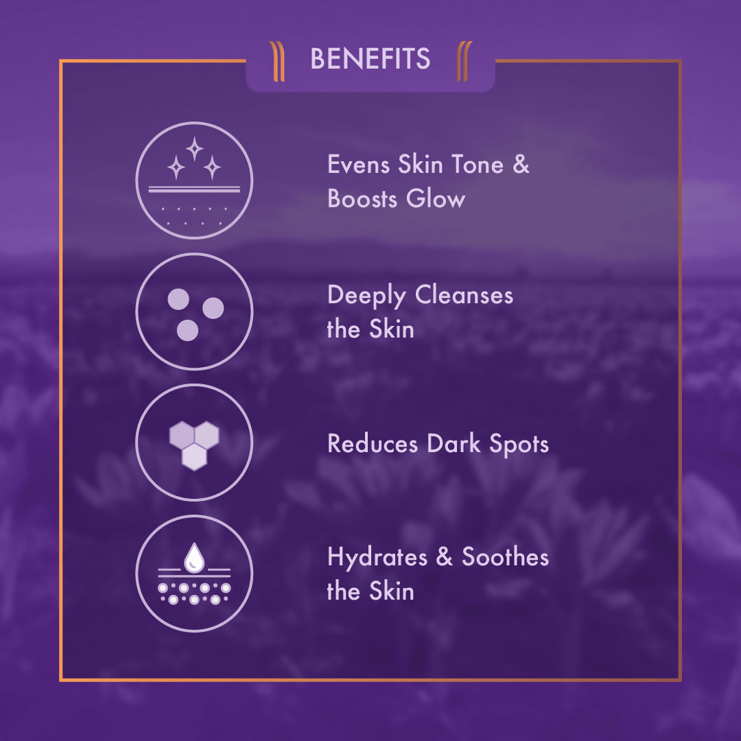 https://cdn.shopify.com/s/files/1/1857/6931/files/HjO64b9tcH-560656.png?v=1749192425