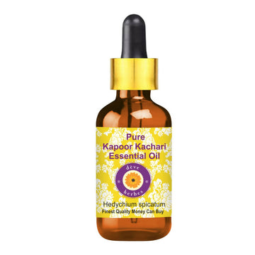 https://cdn.shopify.com/s/files/1/1857/6931/products/HkWqSQhDAM.jpg?v=1759384304