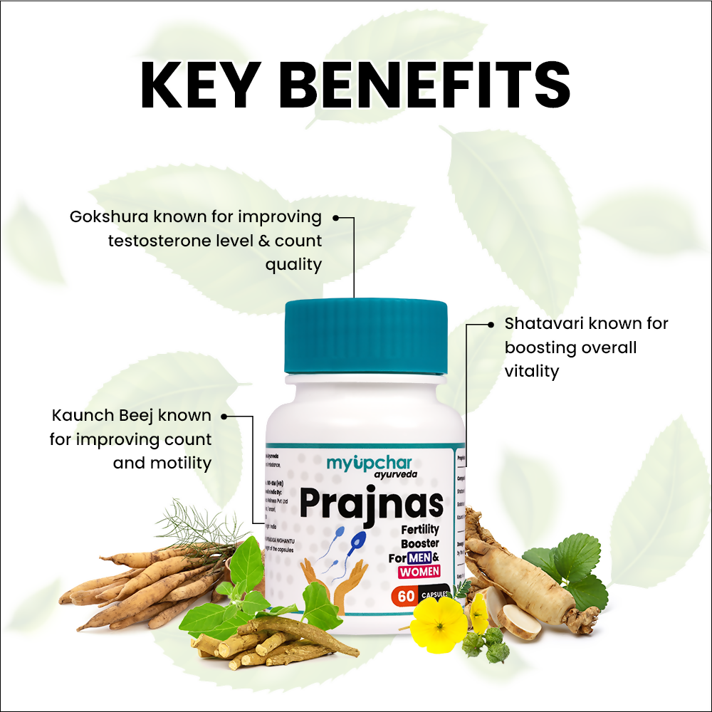 https://cdn.shopify.com/s/files/1/1857/6931/products/HkxtbkJKeK.png?v=1700889657