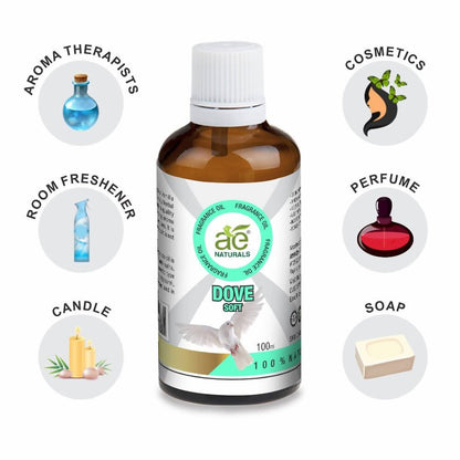 https://cdn.shopify.com/s/files/1/1857/6931/files/HlkzU7CLwo-537419.jpg?v=1736143743